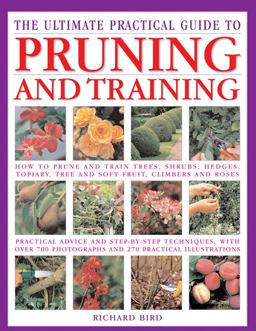 The Ultimate Practical Guide to Pruning and Training