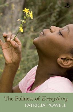 Fullness of Everything  9781845231132 Front Cover