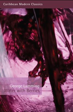 Water with Berries  9781845231675 Front Cover