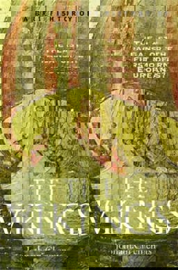 A Brief History of the Vikings  9781845290764 Front Cover