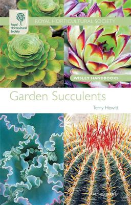 Garden Succulents Garden Succulents
