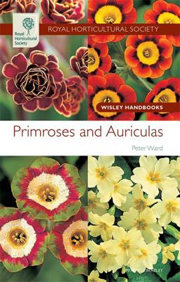 Primulas and Auriculas