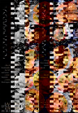 Food from Plenty Good Food Made from the Plentiful, the Seasonal and the Leftover. with over 300 Recipes, None of Them Extravagant  9781845335076 Front Cover