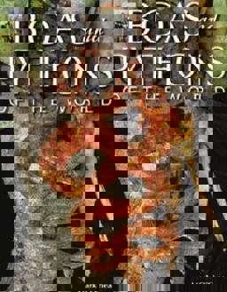 Boas and Pythons of the World