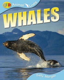 Whales