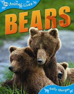 Bears