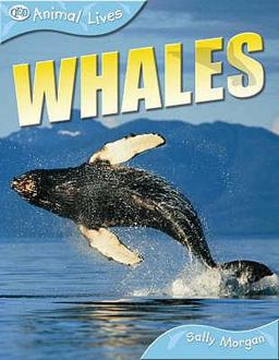 Whales Animal Lives