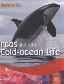 Orcas and Other Cold-Ocean Life