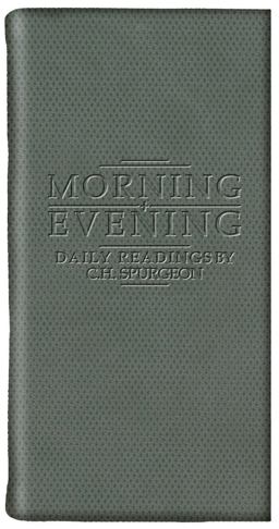 Morning and Evening - Grey