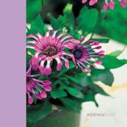 New Container Gardening Address Book