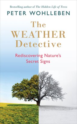 Weather Detective Rediscovering Nature's Secret Signs  9781846045783 Front Cover