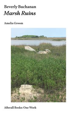 Beverly Buchanan Marsh Ruins  9781846382185 Front Cover