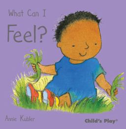 What Can I Feel?  9781846433740 Front Cover