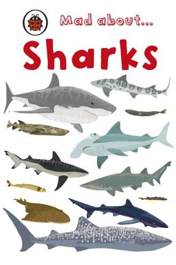Mad about... Sharks
