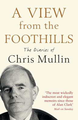 View from the Foothills The Diaries of Chris Mullin  9781846682308 Front Cover