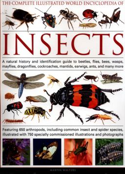 The Complete Illustrated World Encyclopedia of Insects The Complete Illustrated World Encyclopedia of Insects