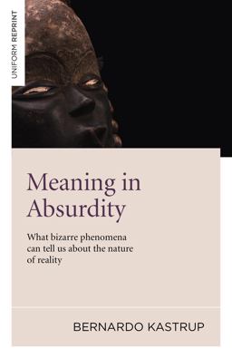 Meaning in Absurdity What Bizarre Phenomena Can Tell Us about the Nature of Reality  9781846948596 Front Cover
