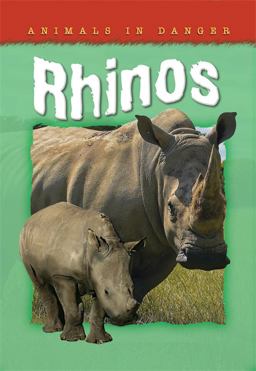Rhinos