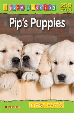 Ilr2 Ff - Pip's Puppies