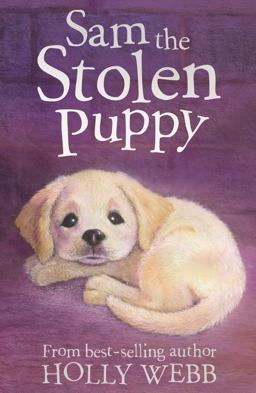 Sam the Stolen Puppy  9781847150417 Front Cover