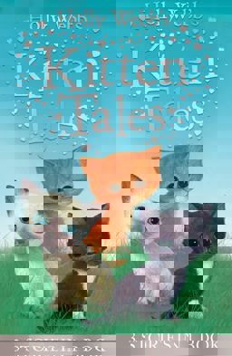 Holly Webb's Kitten Tales Sky the Unwanted Kitten, Ginger the Stray Kitten, Misty the Abandoned Kitten  9781847154477 Front Cover