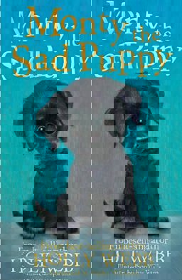 Monty the Sad Puppy  9781847157737 Front Cover
