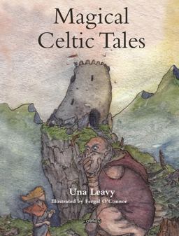 Magical Celtic Tales  9781847175465 Front Cover