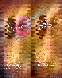 THE SECRET  9781847370297 Front Cover