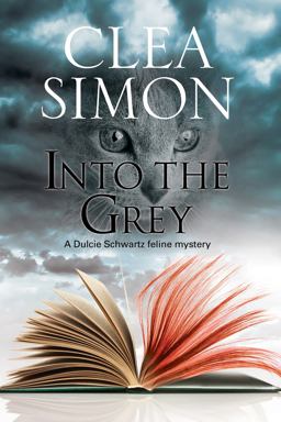 Into the Grey  9781847517319 Front Cover