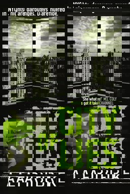 City of Lies  9781847561107 Front Cover