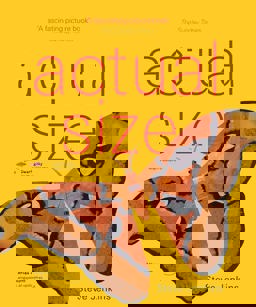   9781847806338 Front Cover