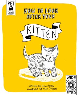 How to Look after Your Kitten
