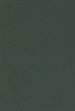 Desirable Literacies