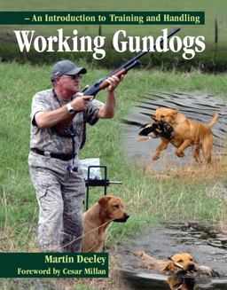 Working Gundogs An Introduction to Training and Handling  9781847970992 Front Cover