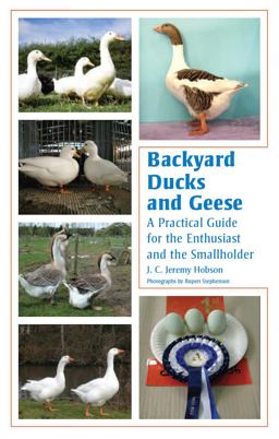 Backyard Ducks and Geese A Practical Guide for the Enthusiast and the Smallholder  9781847971326 Front Cover