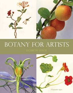 Botany for Artists  9781847972781 Front Cover