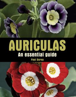 Auriculas An Essential Guide  9781847972866 Front Cover