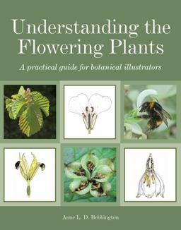 Understanding the Flowering Plants A Practical Guide for Botanical Illustrators  9781847977588 Front Cover