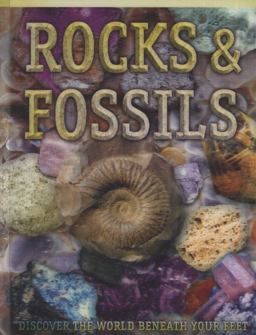 Rocks and Fossils Rocks and Fossils