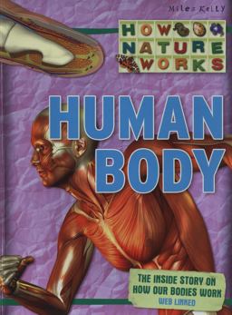 Human Body