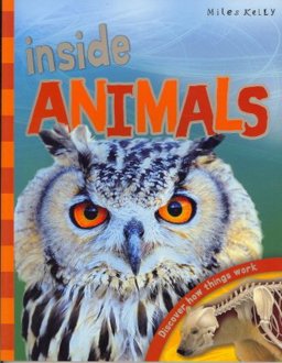 Inside Animals