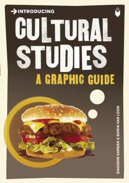 Introducing Cultural Studies A Graphic Guide  9781848311817 Front Cover