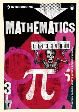Introducing Mathematics A Graphic Guide  9781848312975 Front Cover