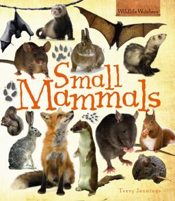 Small Mammals