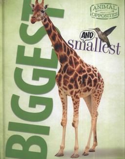 Biggest and Smallest