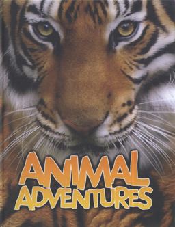 Animal Adventures