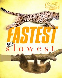Fastest and Slowest