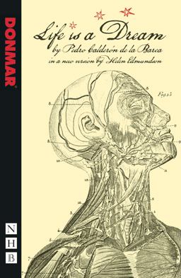 Vida Es Sueano  9781848420601 Front Cover