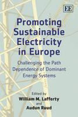Promoting Sustainable Electricity in Europe