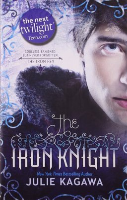 Iron Knight  9781848450608 Front Cover
